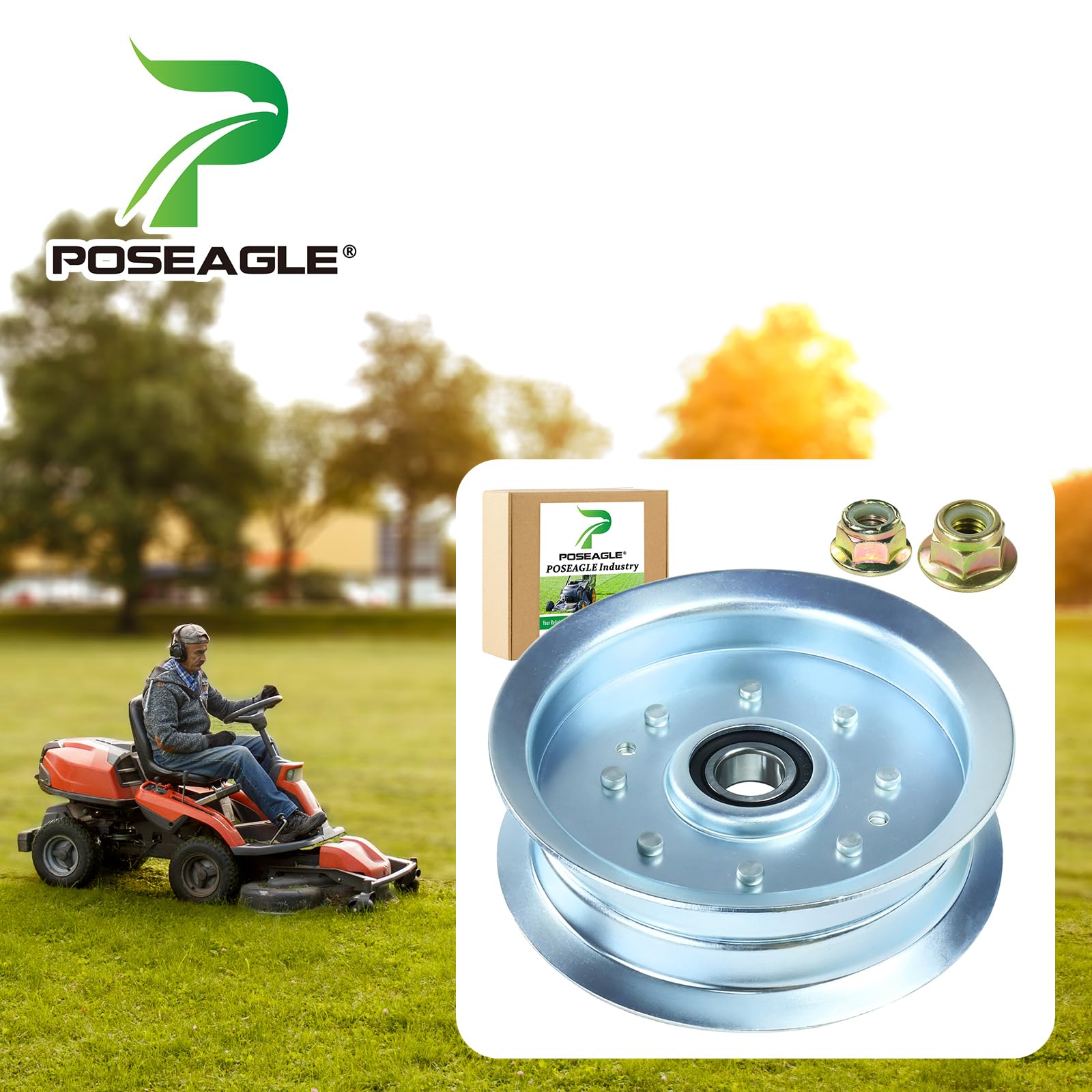POSEAGLE detalle superficie metálica resistente a la corrosión para durabilidad