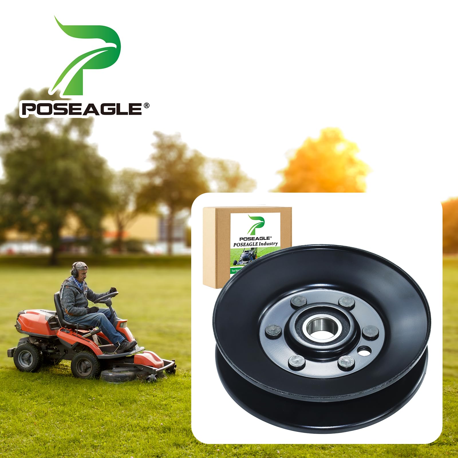POSEAGLE polea idler zoom del buje mostrando construcción robusta