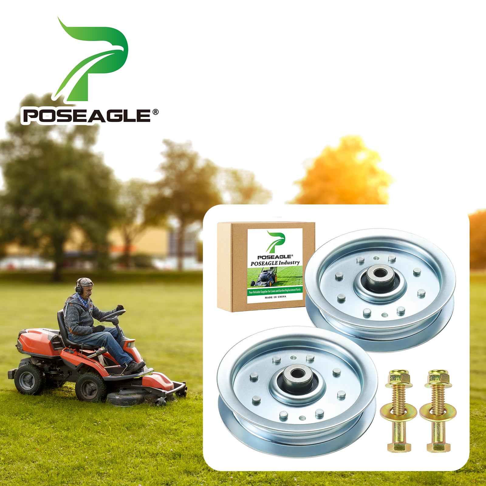 POSEAGLE polea vista lateral con acabado resistente anticorrosión