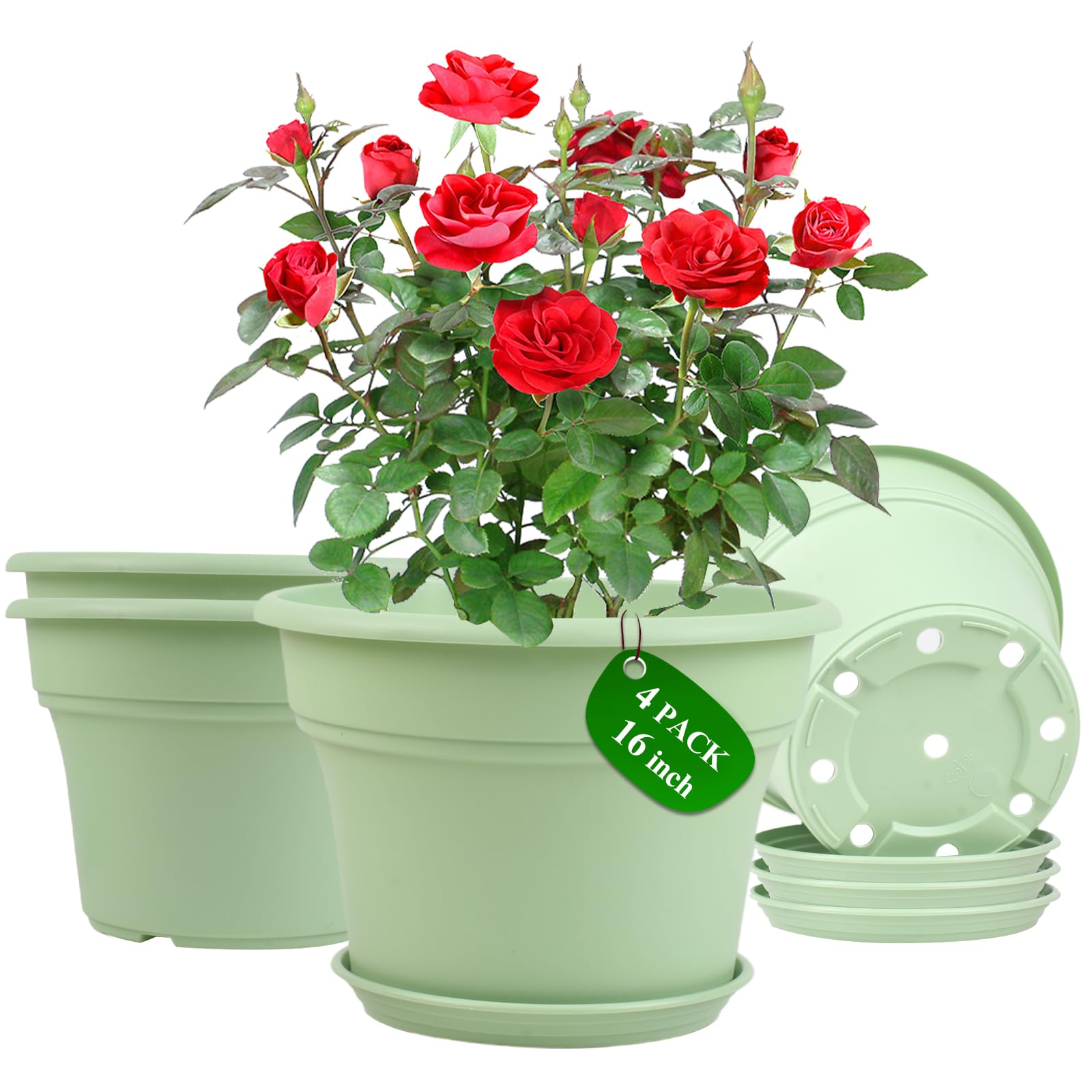 Pottiffe pack de 4 macetas frontales resistentes, ideal decoración