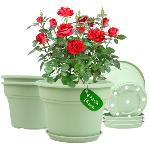 Pottiffe pack de 4 macetas frontales resistentes, ideal decoración