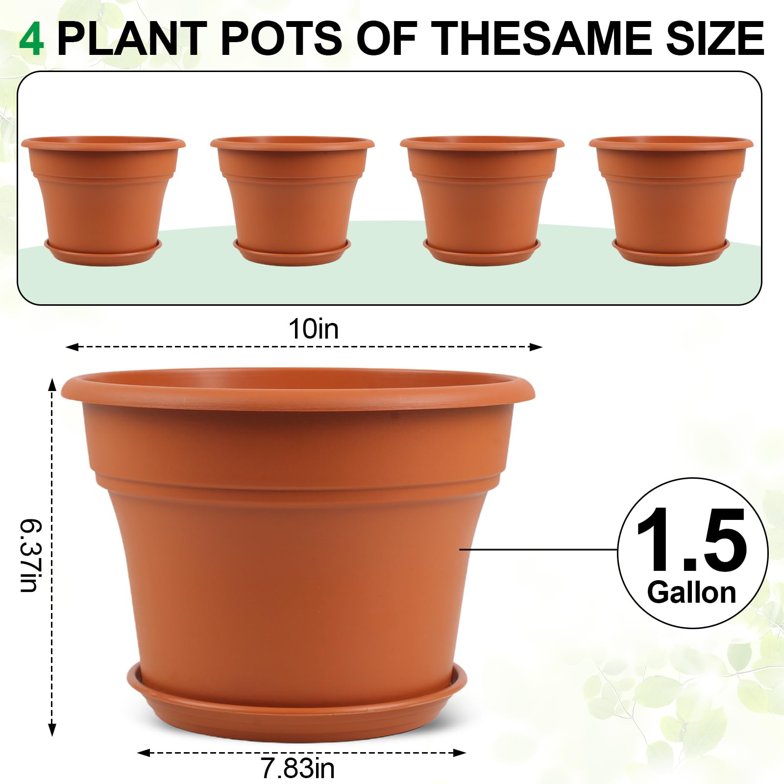 Pottiffe maceta con planta en interior, mejora la decoración