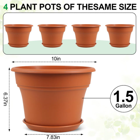 Pottiffe maceta con planta en interior, mejora la decoración