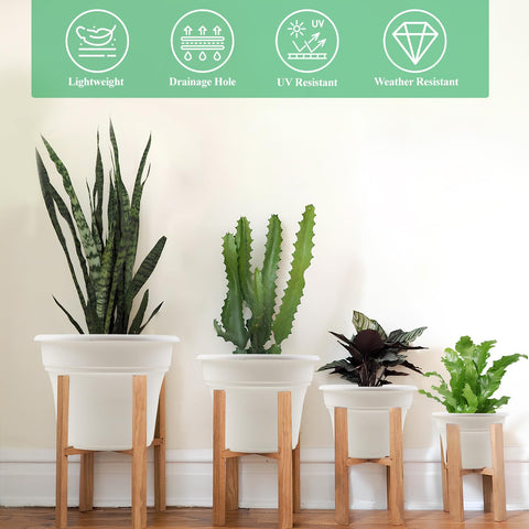 Pottiffe plato recogiendo agua para mantener superficies limpias