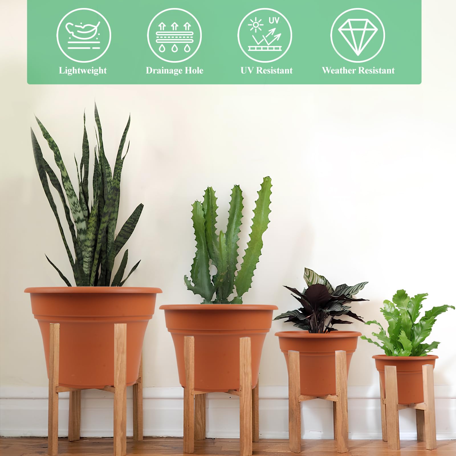 Pottiffe platillo recogedor bajo maceta evita derrames y facilita riego controlado