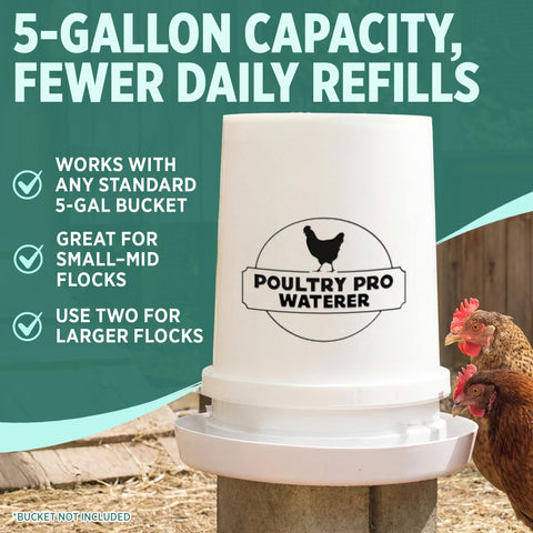 Poultry Pro en uso en gallinero ofreciendo agua constante a las aves