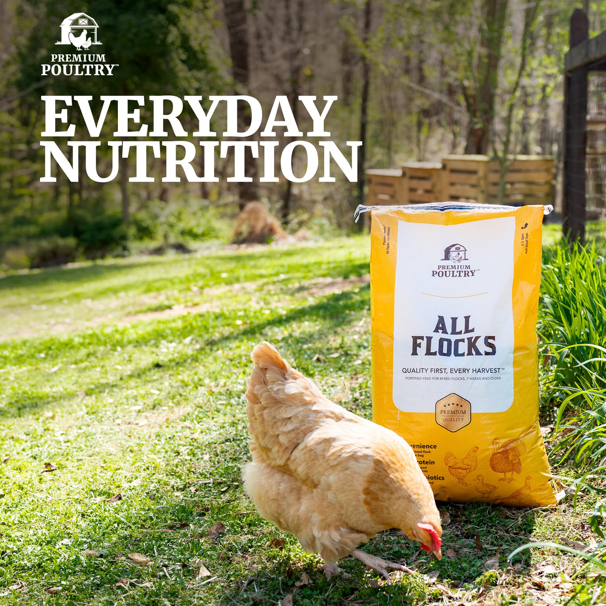Premium Poultry detalle de pellets demostrando textura y calidad