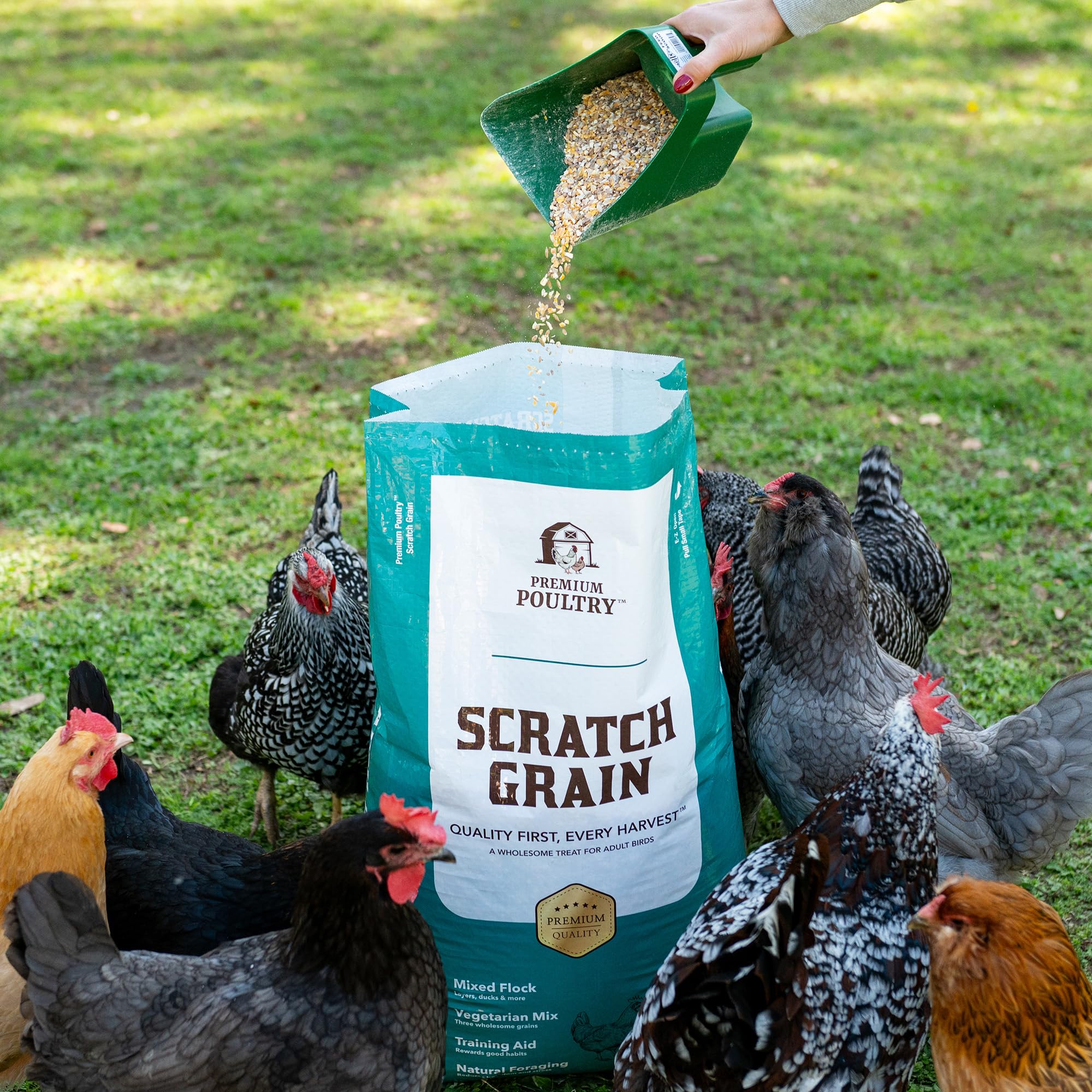 Premium Poultry embalaje 40lb apilado listo para almacenamiento seguro