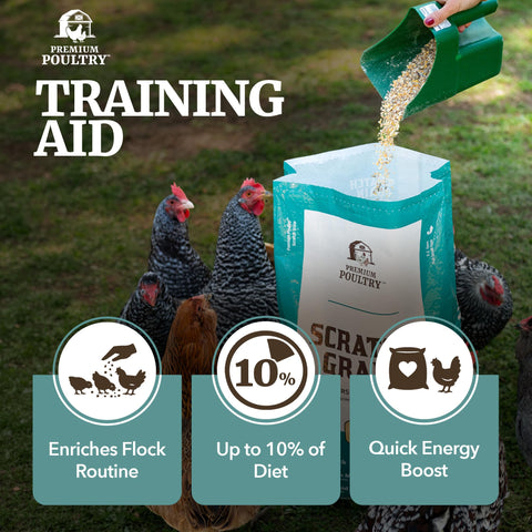Premium Poultry en uso en corral con aves activas y comportamiento natural