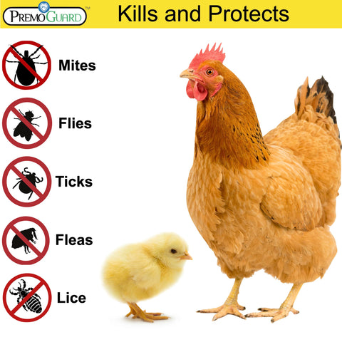 Premo Guard gallinero tratado mostrando espacios limpios y protegidos