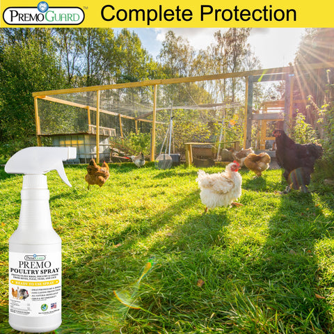 Premo Guard rociado en patas con scaly leg mites visibles, reduce infestaciones en patas