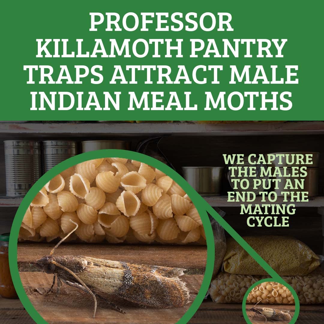 Professor Killamoth trampa colocada en despensa protegiendo cereales y harina