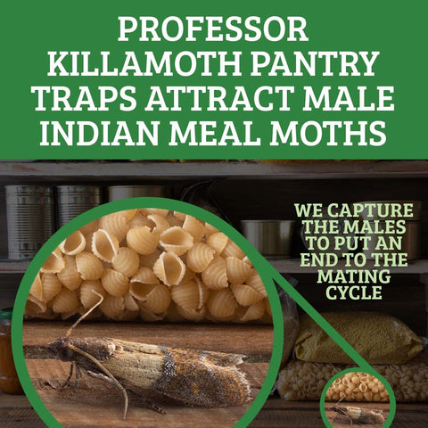 Professor Killamoth trampa colocada en despensa protegiendo cereales y harina