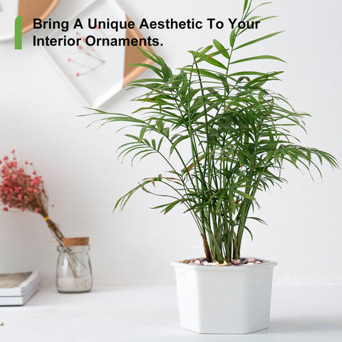 Pulovin detalle de colores variados para combinar con plantas