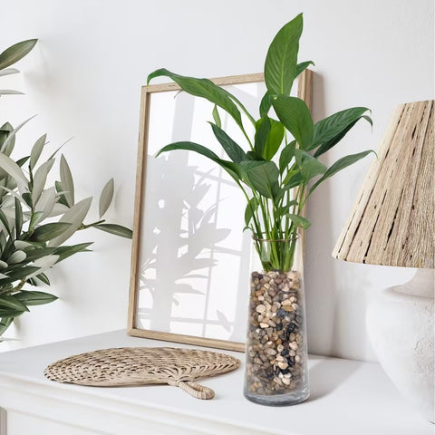 Pulovin en escena doméstica realza decoración y apariencia profesional
