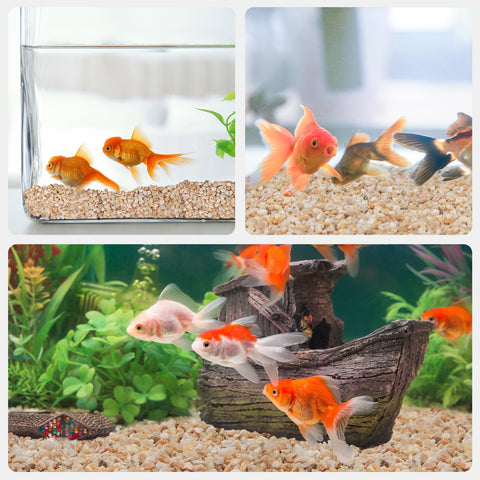 Pulovin embalaje y rótulo, información clara y manejo fácil