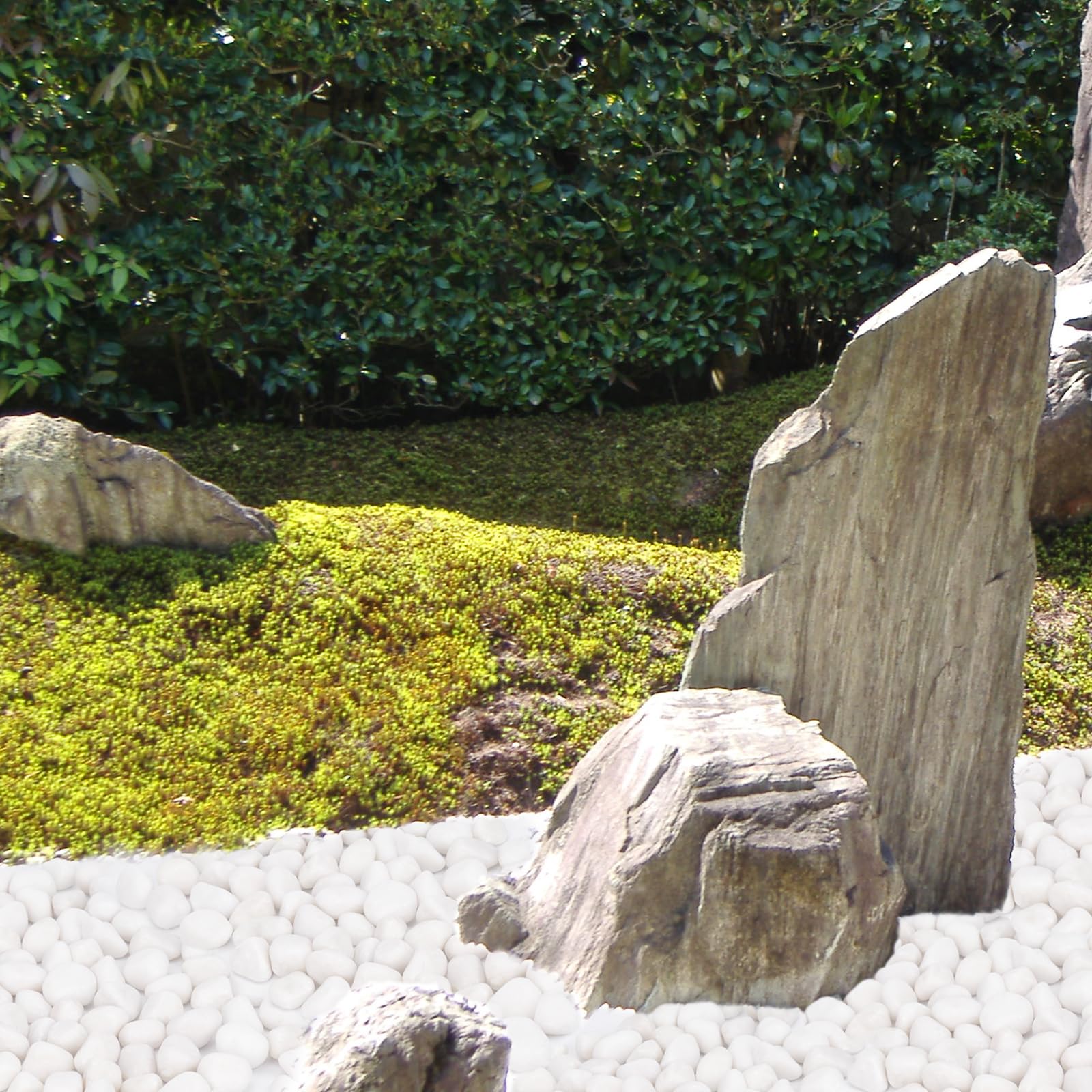 Pulovin jarrón con piedras para centro de mesa luminoso