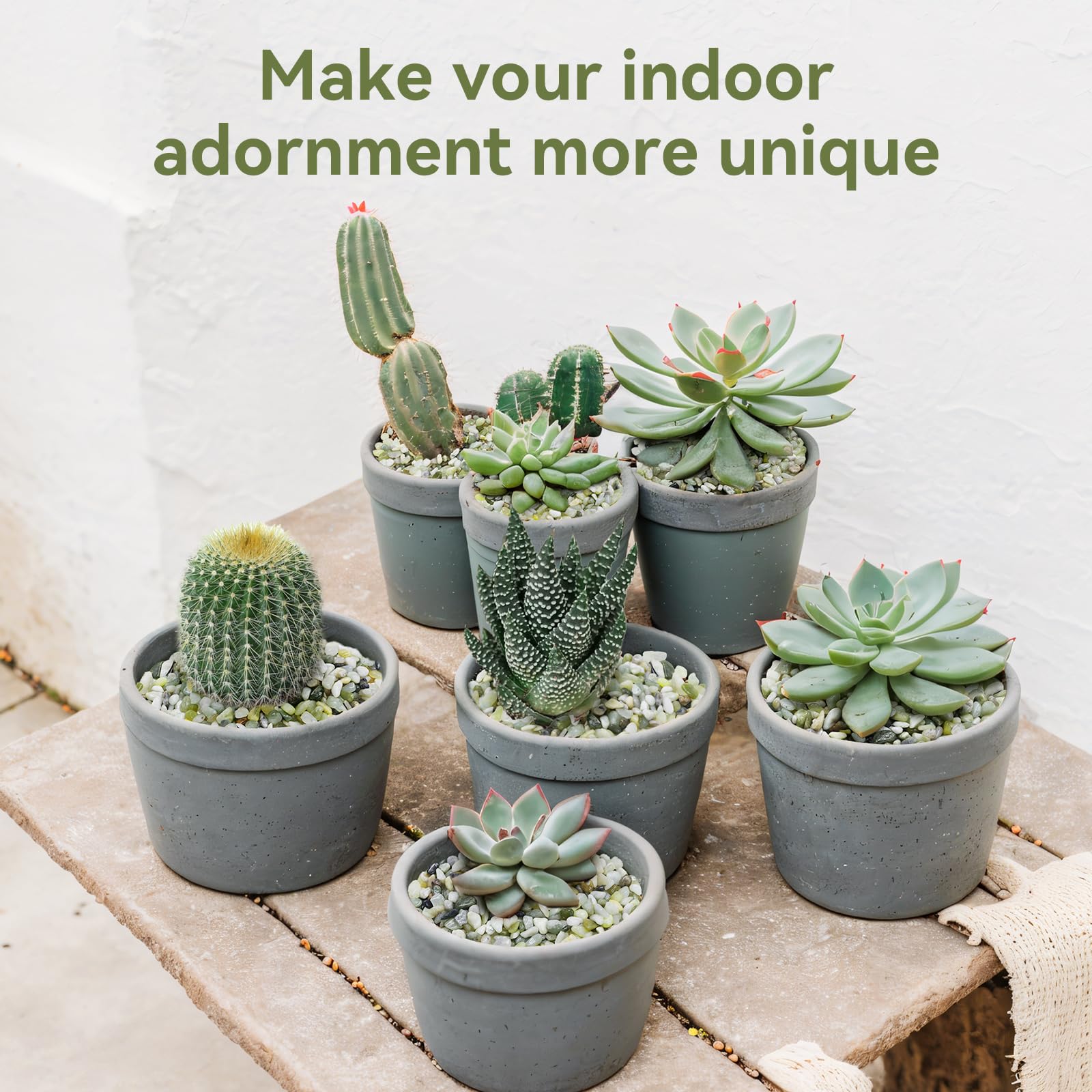Pulovin arreglos decorativos en estantería mostrando armonía con plantas