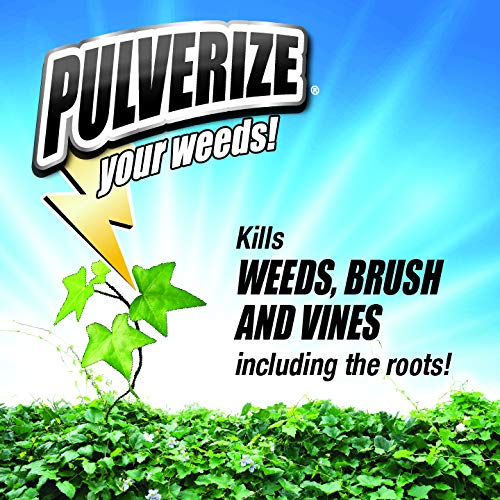 Pulverize etiqueta con ingredientes y beneficios visibles para seguridad