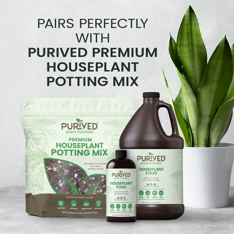 Purived aplicado en maceta interior mostrando plantas más vigorosas