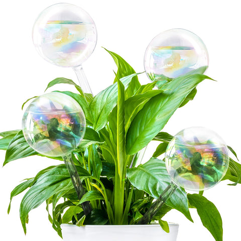 Pynqdfu pack frontal de cuatro globos arcoíris decorativos y funcionales