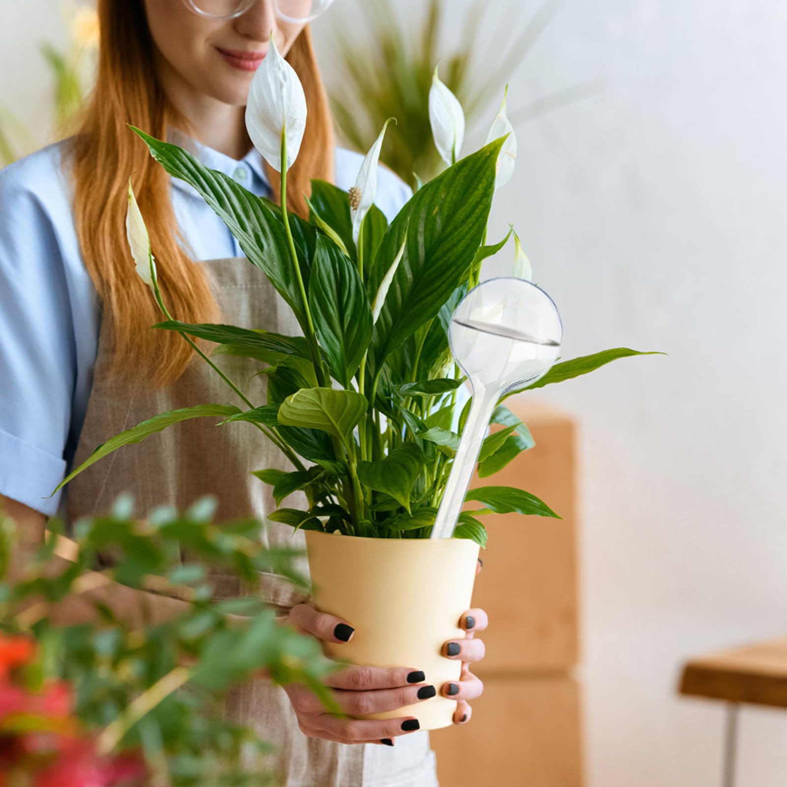 Pynqdfu varios bulbos en jardinera exterior, mantenimiento reducido