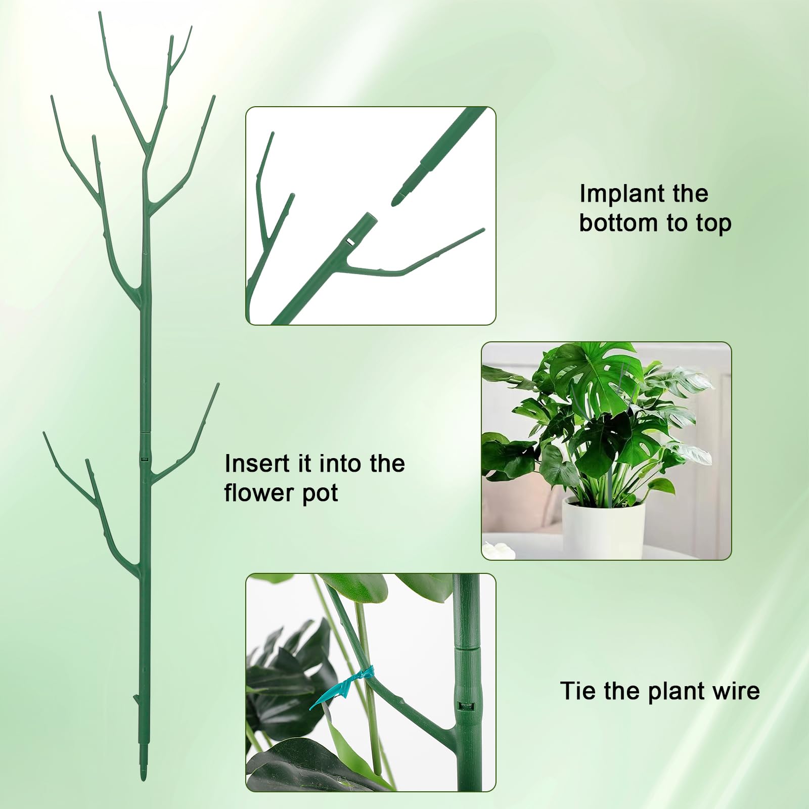 Qaobo ambiente interior con planta trepadora, estética natural mejorada