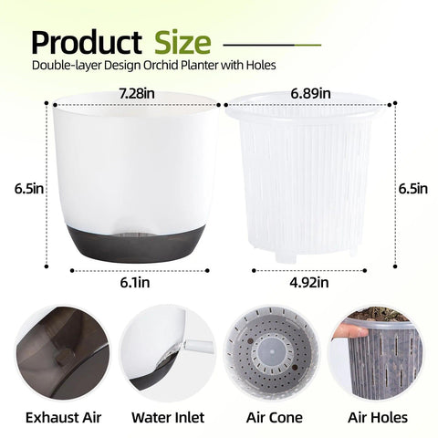 QCQHDU interior transparente con agujeros para observar raíces y ventilación