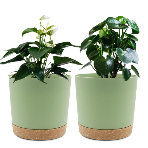 QCQHDU maceta frontal pack de 2 mostrando diseño minimalista y color moderno