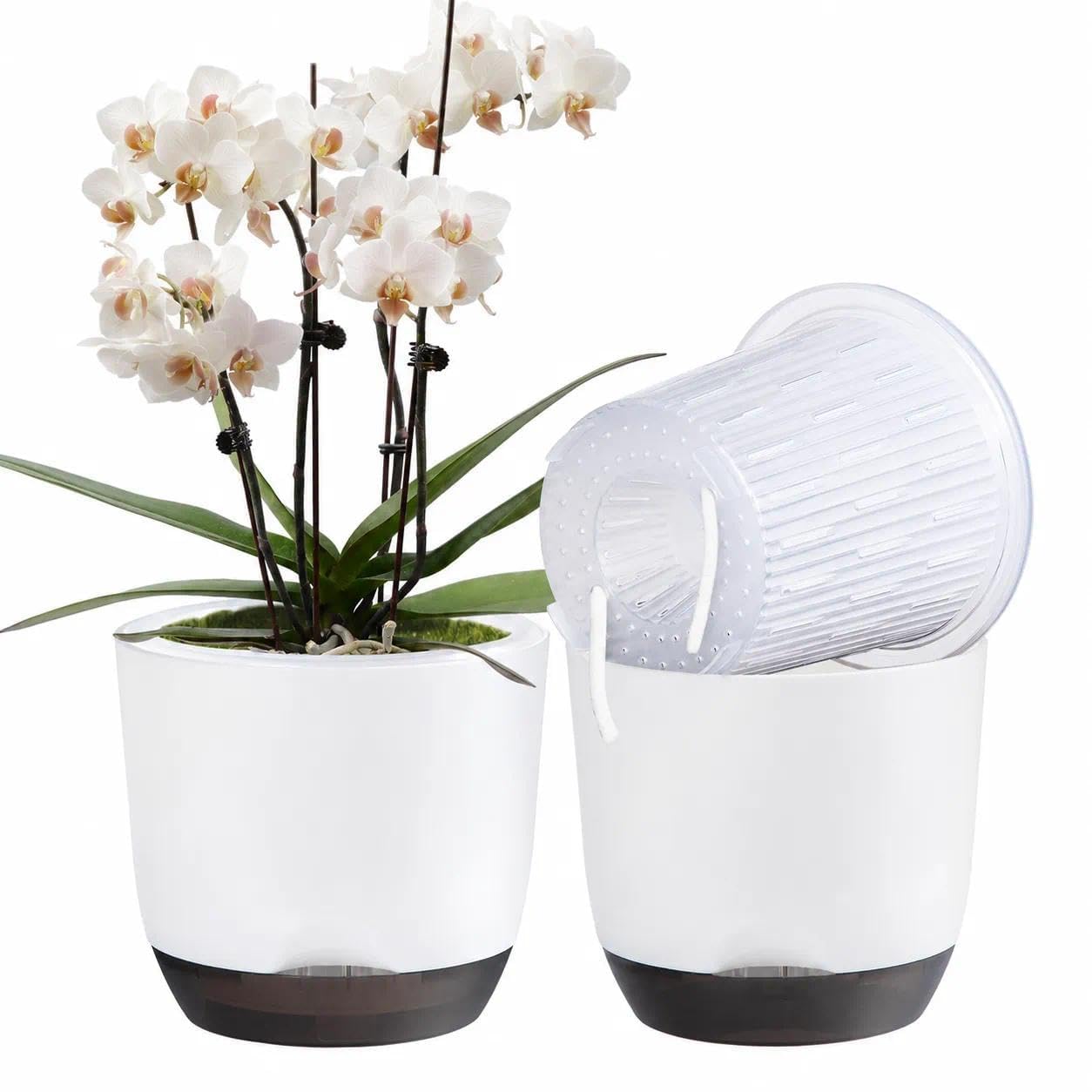 QCQHDU maceta orquídea frontal mostrando forma elegante y estabilidad
