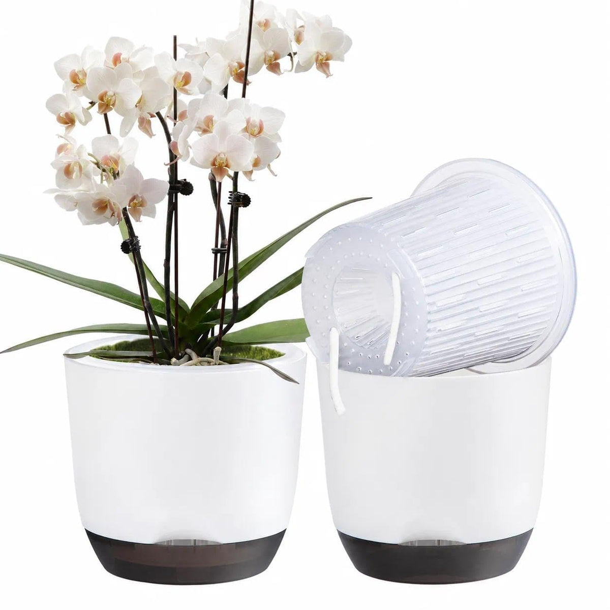 QCQHDU maceta orquídea frontal mostrando forma elegante y estabilidad