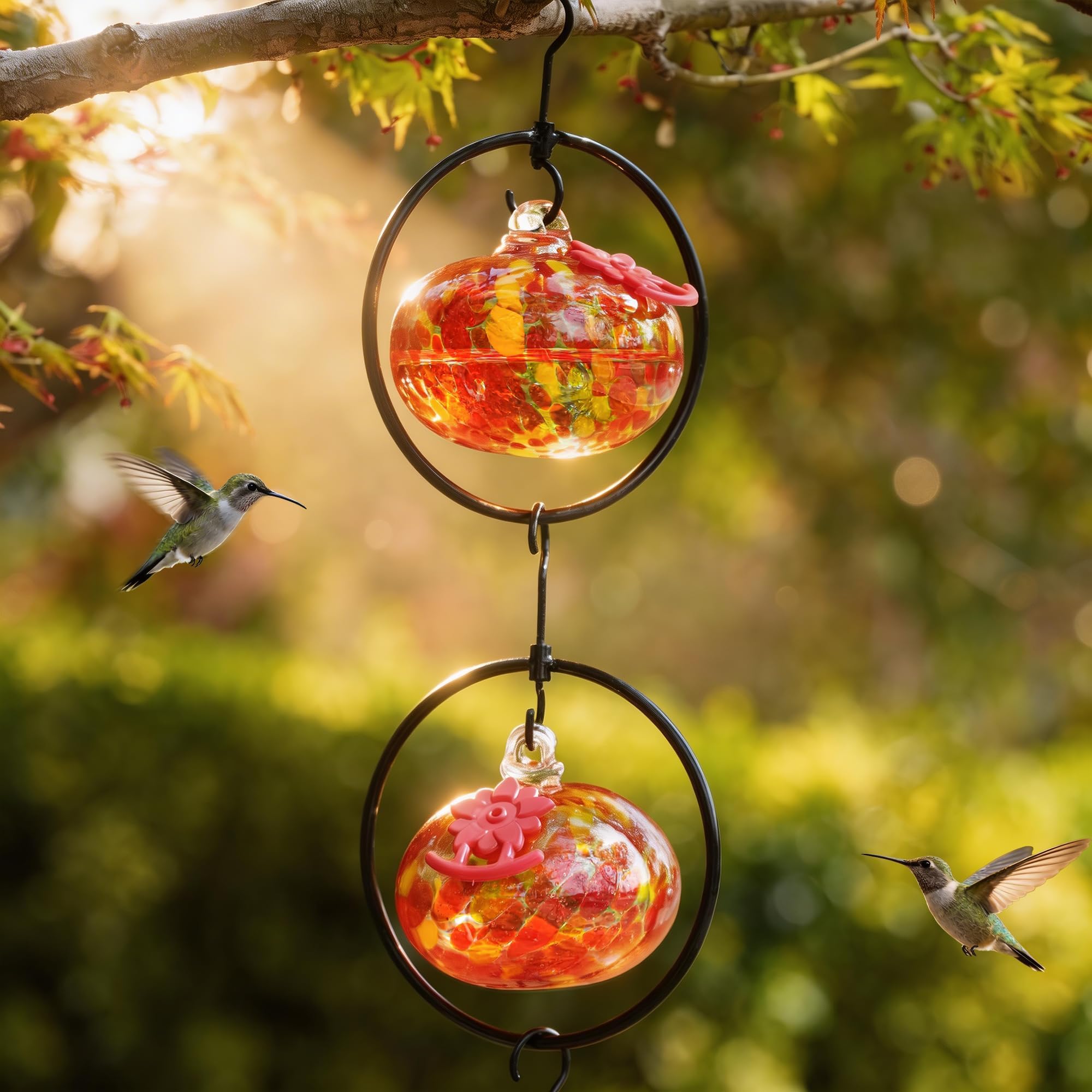 QFkris colibríes alimentándose simultáneamente en las seis bocas del comedero