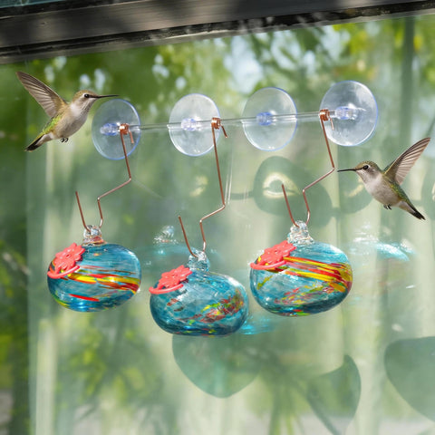 QFkris comedero en uso con colibrí acercamiento natural sin molestias