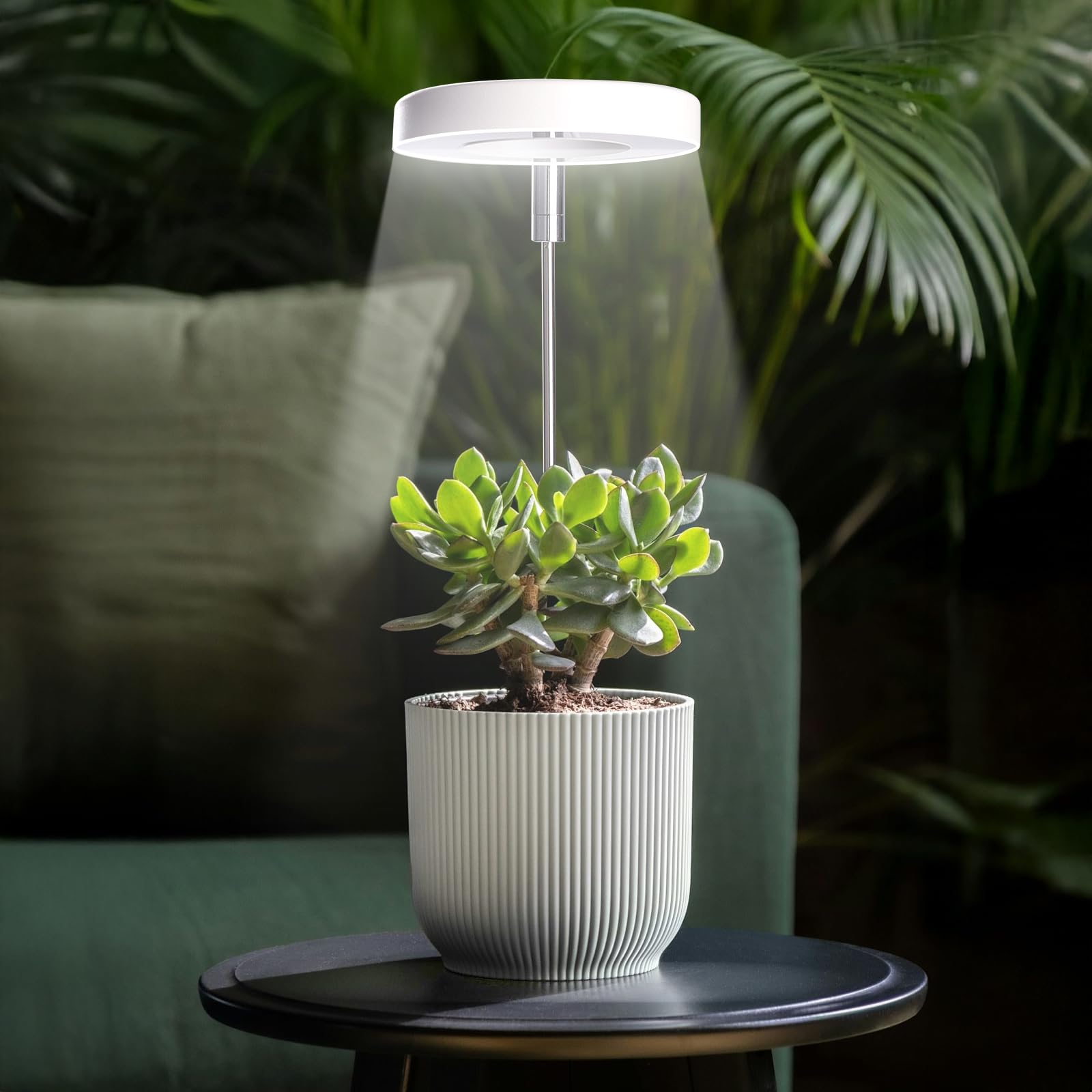 Qicodu detalles de LEDs full spectrum para crecimiento equilibrado