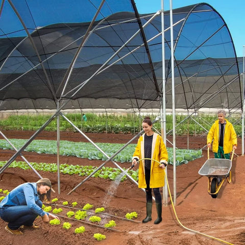 QLOFEI cubierta sobre invernadero, protección para plantas y cultivo