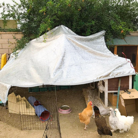 QLOFEI lona cubriendo corral, sombra que protege animales y plantas
