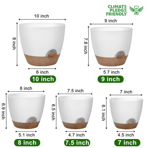 QRRICA imagen de la cámara inferior y depósito de agua para autorriego útil