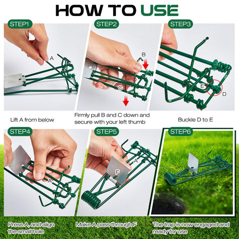 Qualirey primer plano del acero inoxidable y la base resistente que ofrece durabilidad