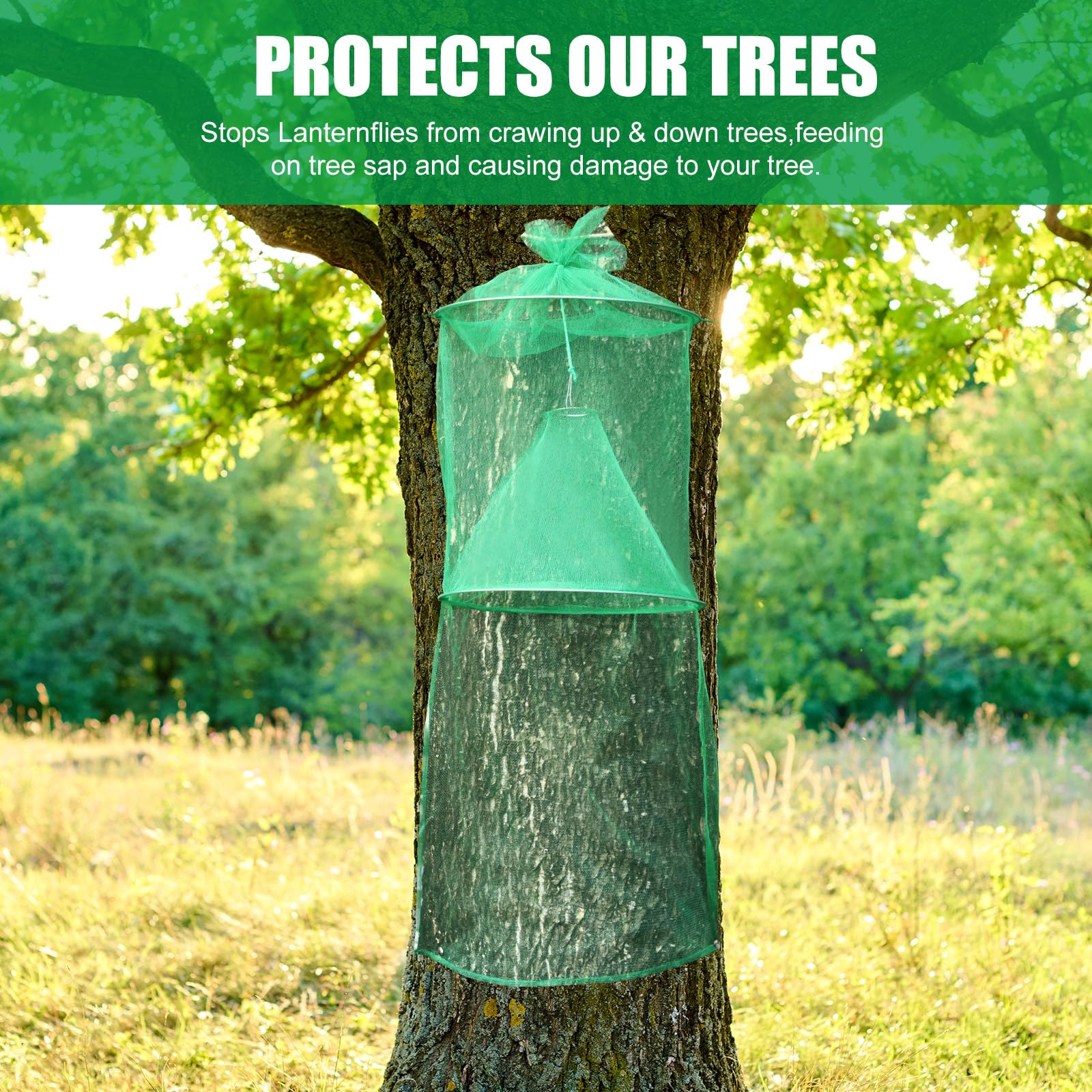 Qualirey trampas en jardín mostrando protección del árbol sin pesticidas