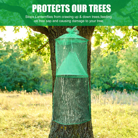 Qualirey trampas en jardín mostrando protección del árbol sin pesticidas
