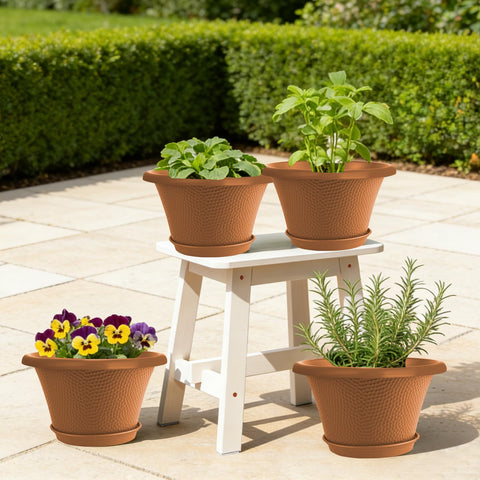 Quarut ambiente interior y exterior realzando la decoración