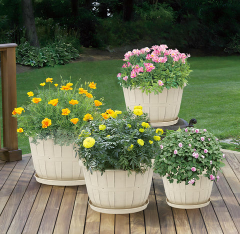 Quarut conjunto de macetas en patio con plantas, mejora estética del espacio