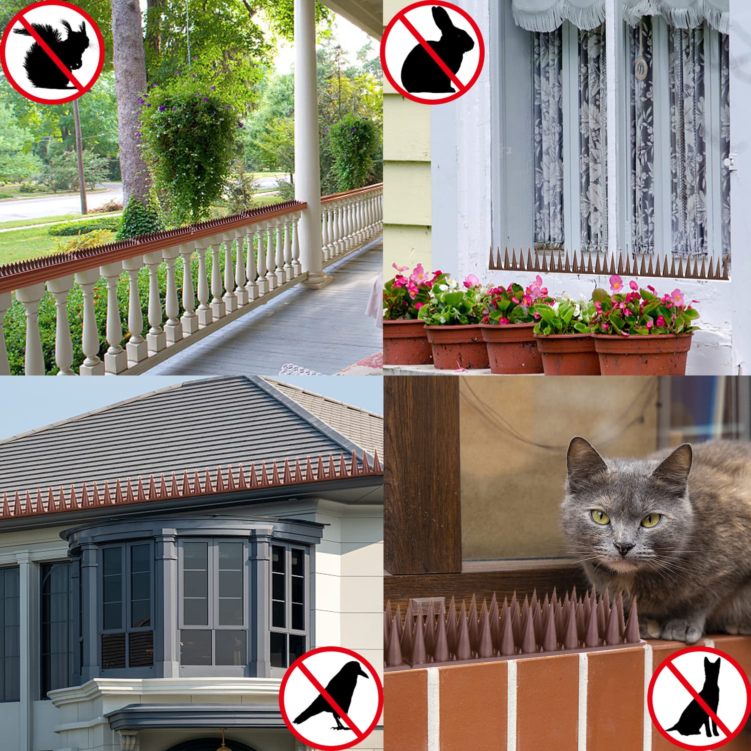 Quunoot sistema de pinchos en jardín integrándose discretamente con plantas