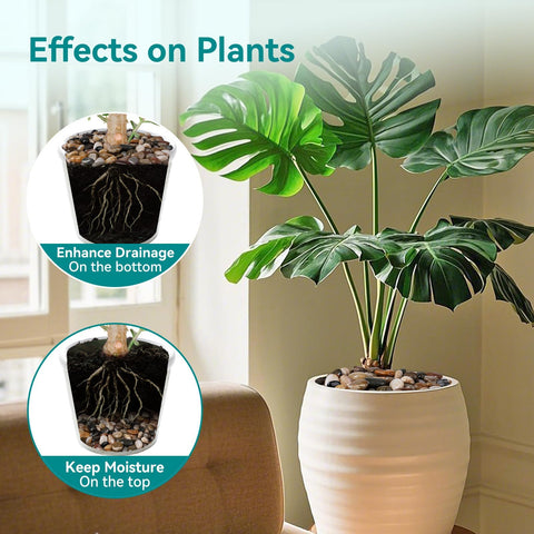 Rahato piedras en maceta interior mejorando drenaje y apariencia ordenada