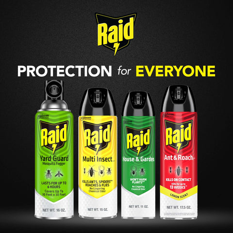 Raid pack de cuatro latas en mesa listo para múltiples aplicaciones