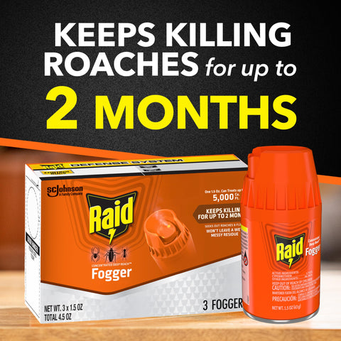 Raid lata junto a regla para mostrar tamaño compacto y maniobrabilidad