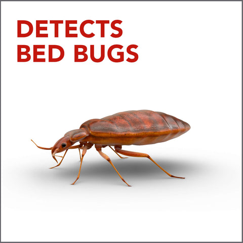 Raid detector detalle de ventana transparente para inspección segura y rápida