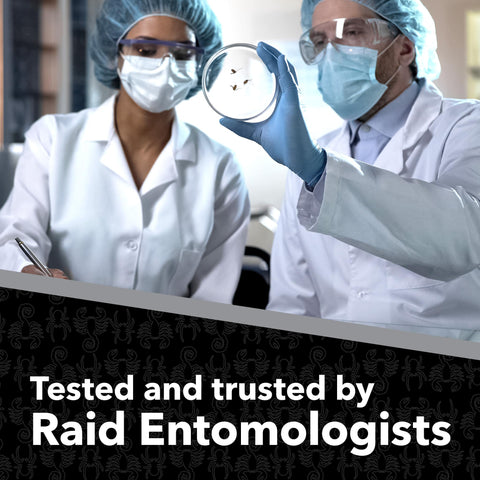 Raid aplicándose en garaje para reducir arañas y escorpiones