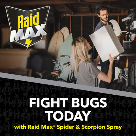 Raid detalle de superficie seca sin olor fuerte ni residuo visible