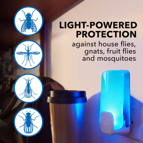 Raid cartucho adhesivo doble cara detalle para captura eficaz de insectos